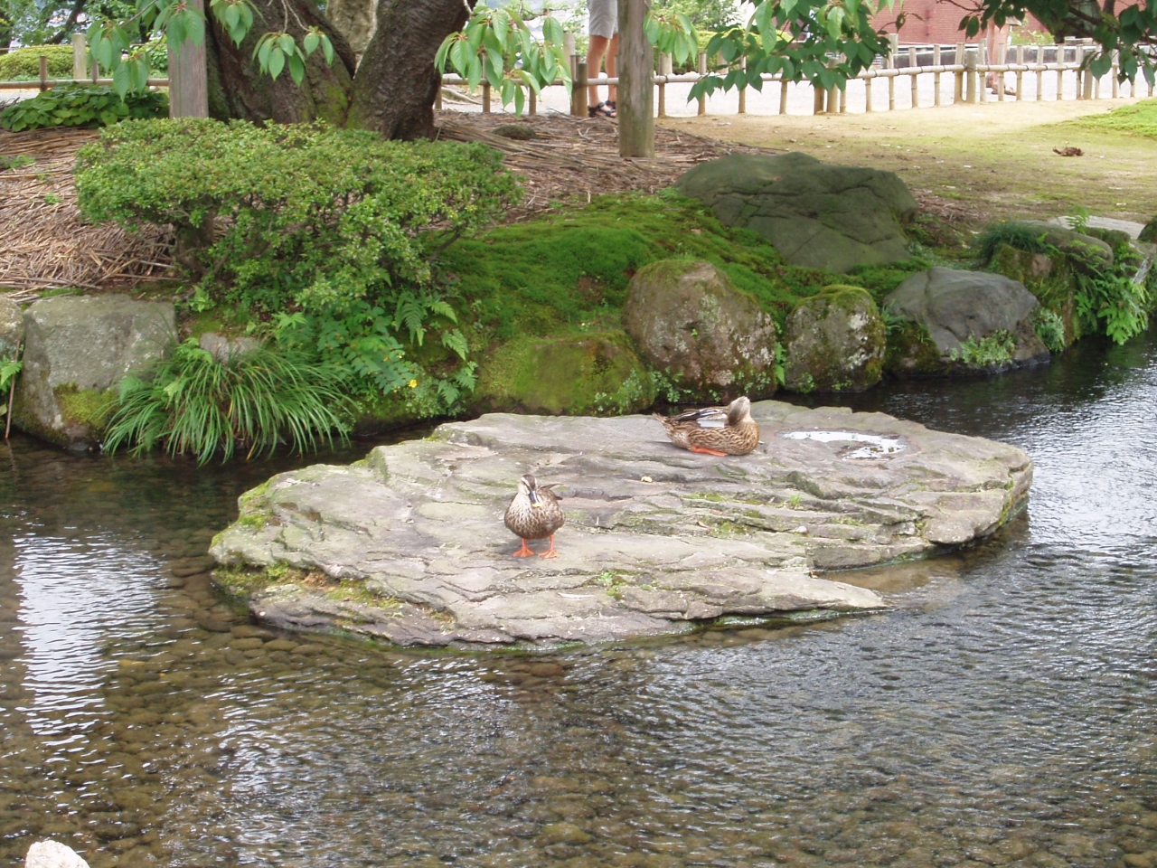 過去旅 あのpvを再現してみたい 金沢 石川県 の旅行記 ブログ By Can旅 さん フォートラベル 過去旅 あのpvを再現してみたい 金沢 石川県 の旅行記 ブログ By Can旅 さん フォートラベル