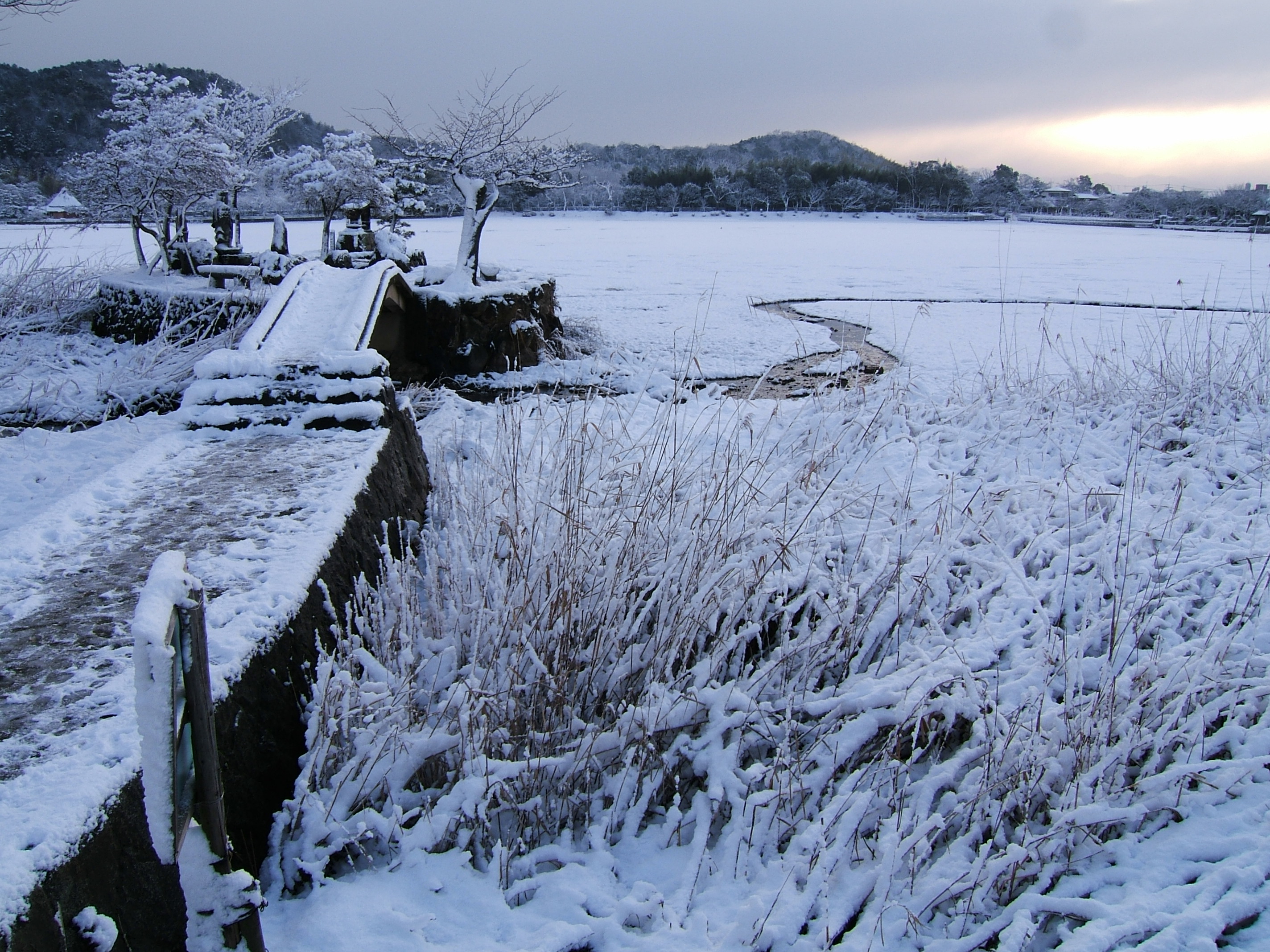 続 広沢池の雪化粧 嵐山 嵯峨野 太秦 桂 京都 の旅行記 ブログ By Coroさん フォートラベル