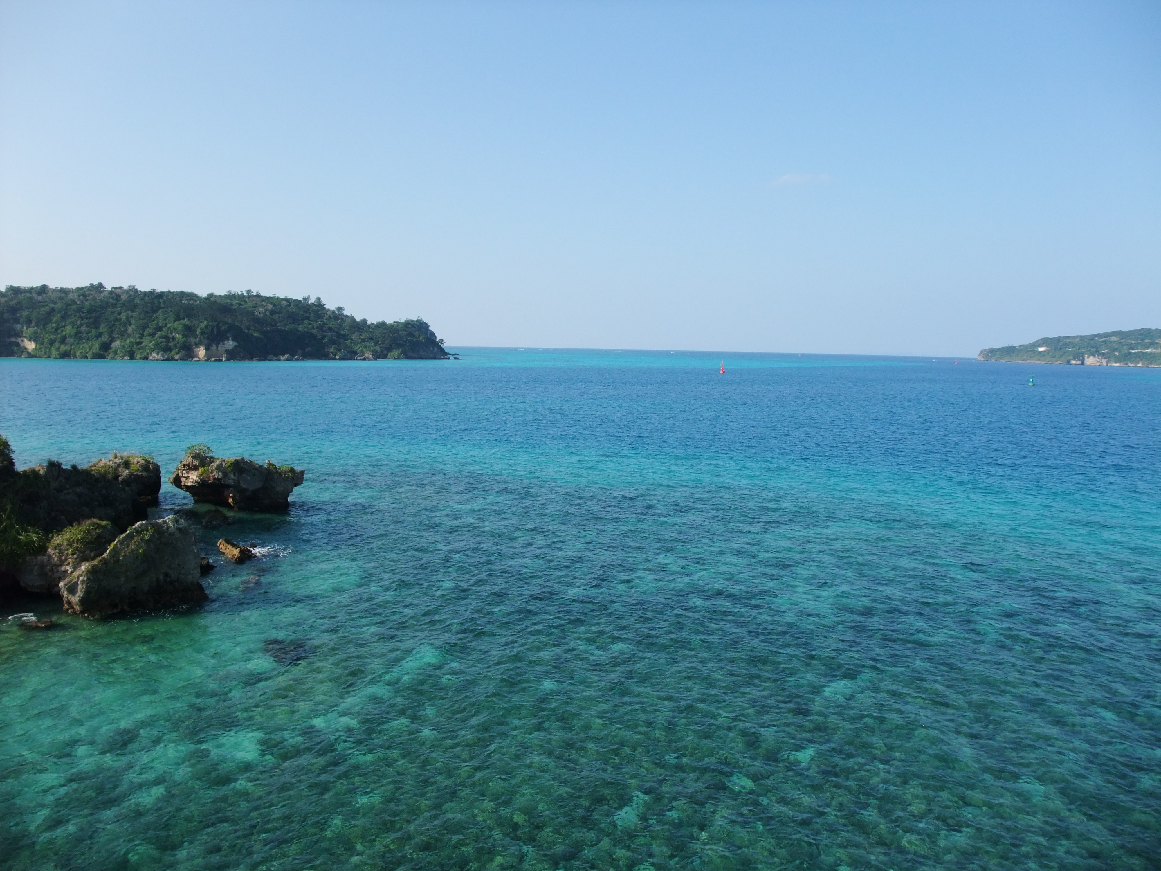 沖縄旅行記 後編 凍えない冬に海の生物に目を凝らしたり 沖縄県の旅行記 ブログ By Flatfishさん フォートラベル