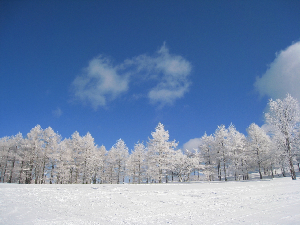 山形蔵王樹氷をスノーボードで 蔵王温泉 山形県 の旅行記 ブログ By かい さん フォートラベル