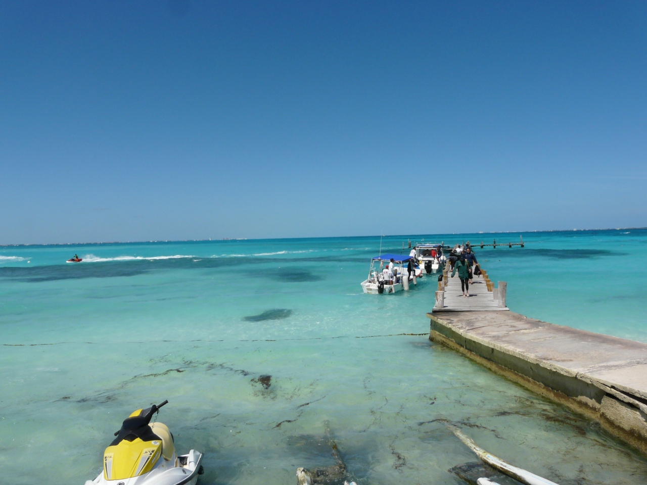 最速の魚を見に Inカリブ海 カンクン メキシコ の旅行記 ブログ By よーりんさん フォートラベル