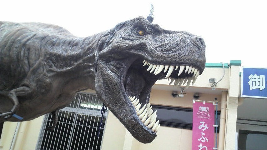 外観で馬鹿にはできません 御船町恐竜博物館 熊本県の旅行記 ブログ By Dada350gtさん フォートラベル 外観で馬鹿にはできません 御船町恐竜博物館 熊本県の旅行記 ブログ By Dada350gtさん フォートラベル