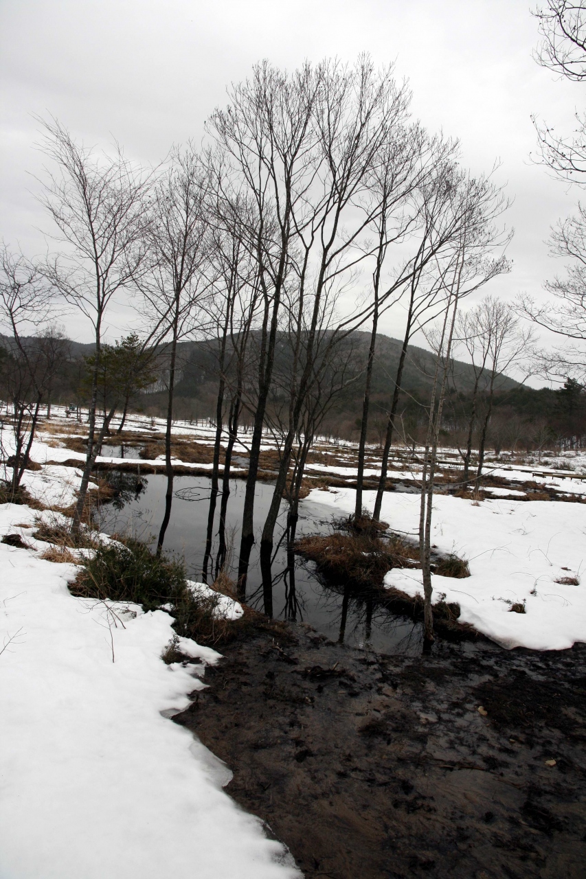 ひとり旅 694 雪国から と言っても広島からです 八幡高原 霧ヶ谷湿原 広島県北広島町 三段峡 安芸太田 北広島 広島県 の旅行記 ブログ By Mechagodzilla 703さん フォートラベル