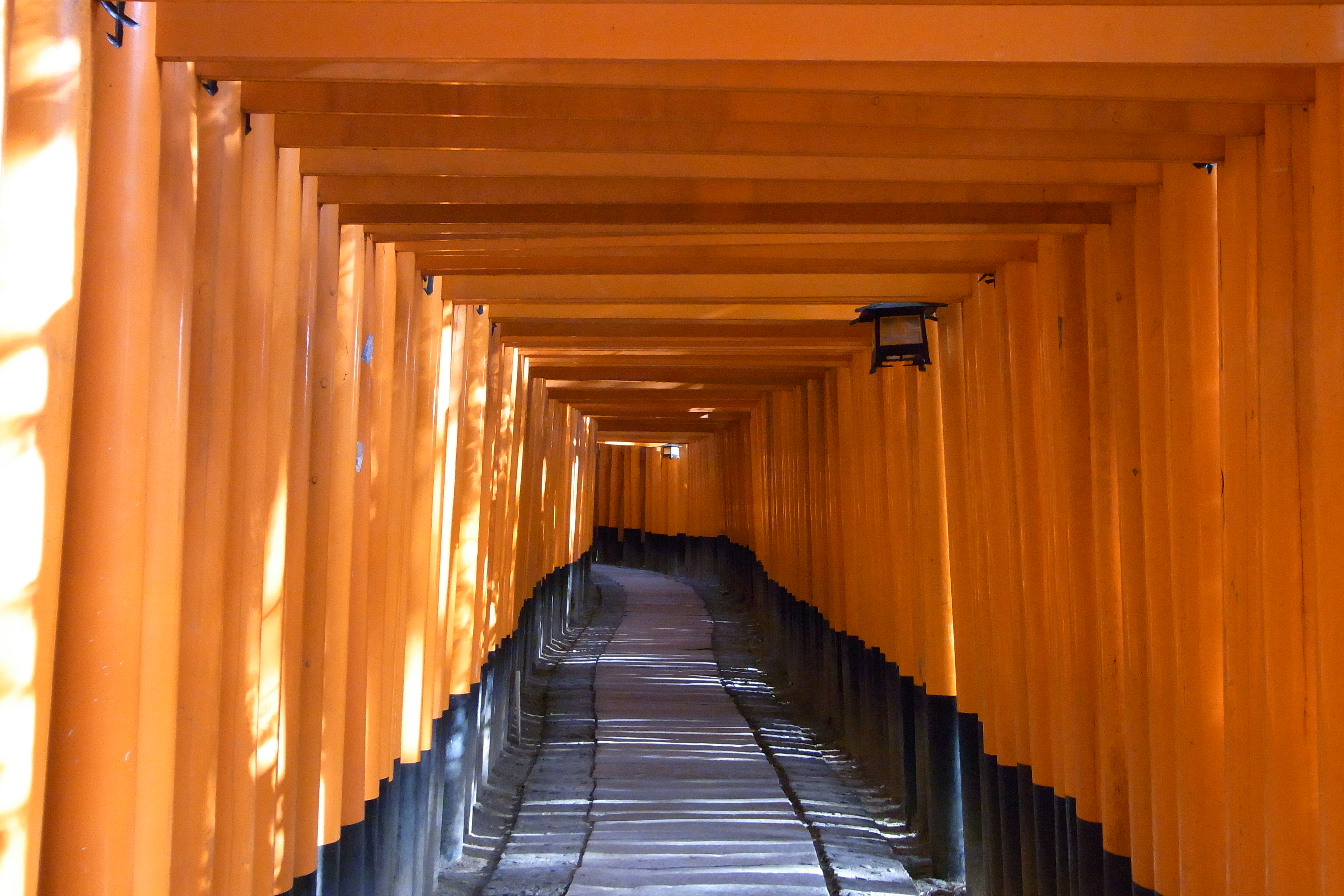 京都のパワースポット巡り 下鴨 宝ヶ池 平安神宮 京都 の旅行記 ブログ By Morino296さん フォートラベル