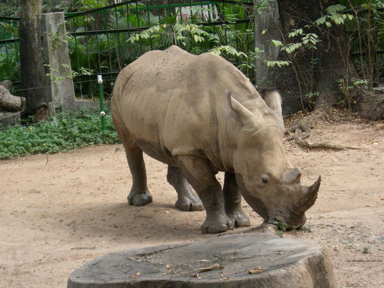 ベトナム一人旅その９ サイゴン動物園 ホーチミン ベトナム の旅行記 ブログ By Marcopanさん フォートラベル