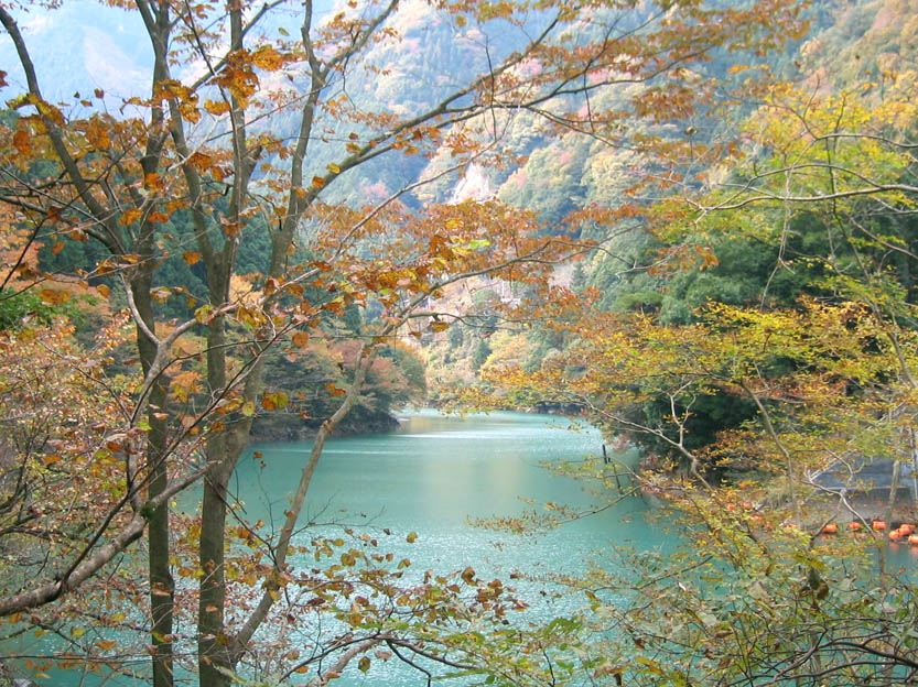 東京都奥多摩町 鳩ノ巣渓谷の紅葉散策 ２００６年11月 奥多摩 東京 の旅行記 ブログ By 夢見草さん フォートラベル