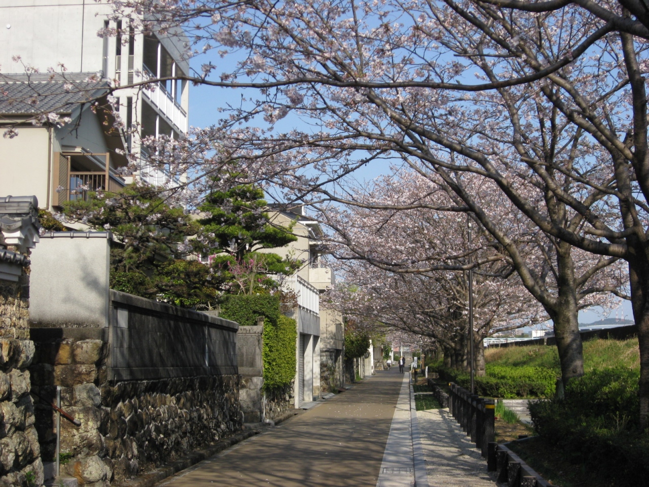 龍馬の足跡をたどる旅 龍馬の生まれた町 高知市上町 高知市 高知県 の旅行記 ブログ By たか さん フォートラベル