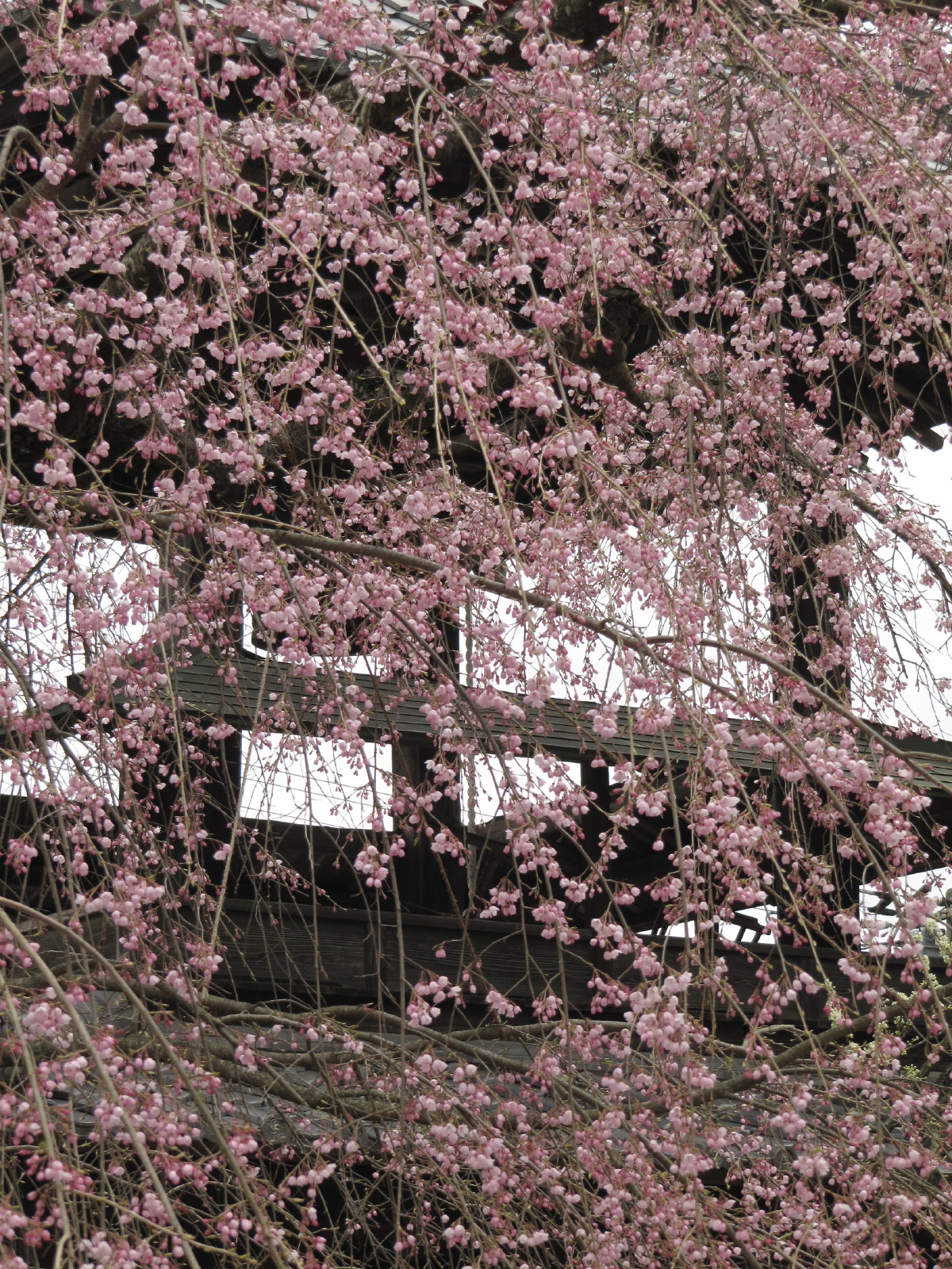 天気 埼玉 川町 県 小