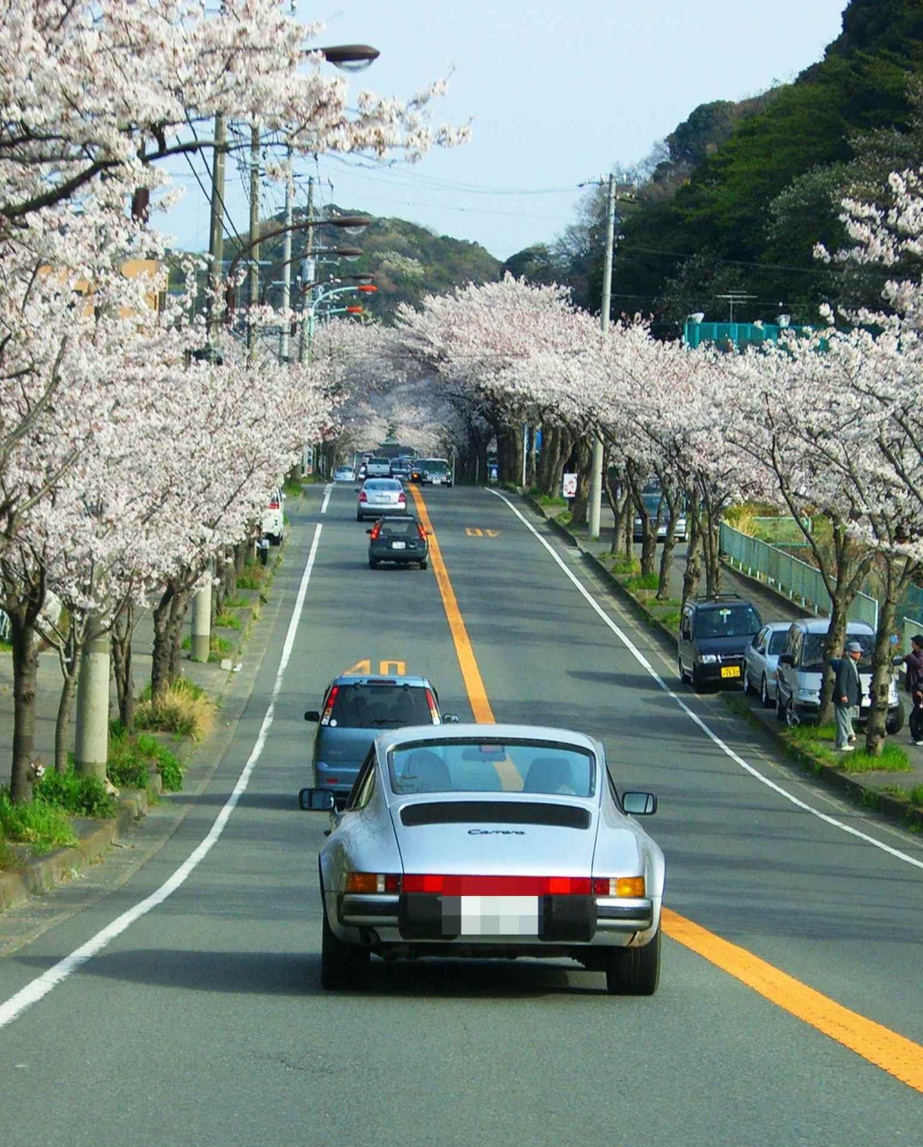 お花見ドライブ 三浦通研道路 剣崎灯台 三浦海岸 三崎 神奈川県 の旅行記 ブログ By あんみつ姫さん フォートラベル