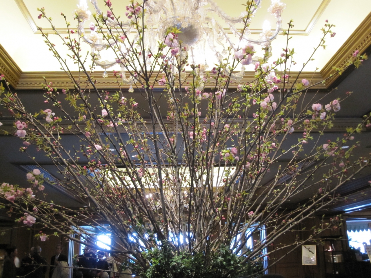 東京のたび 10年3月 お花見は 鳩山会館 フォーシーズンズ椿山荘 国立博物館で 東京の旅行記 ブログ By トムソーヤさん フォートラベル 東京のたび 10年3月 お花見は 鳩山会館 フォーシーズンズ椿山荘 国立博物館で 東京の旅行記 ブログ By トムソーヤさん フォートラベル