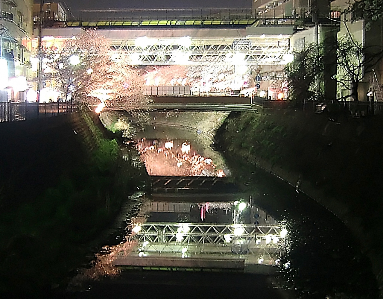 大岡川の桜と横浜ならではの屋台 横浜 神奈川県 の旅行記 ブログ By タコスさん フォートラベル