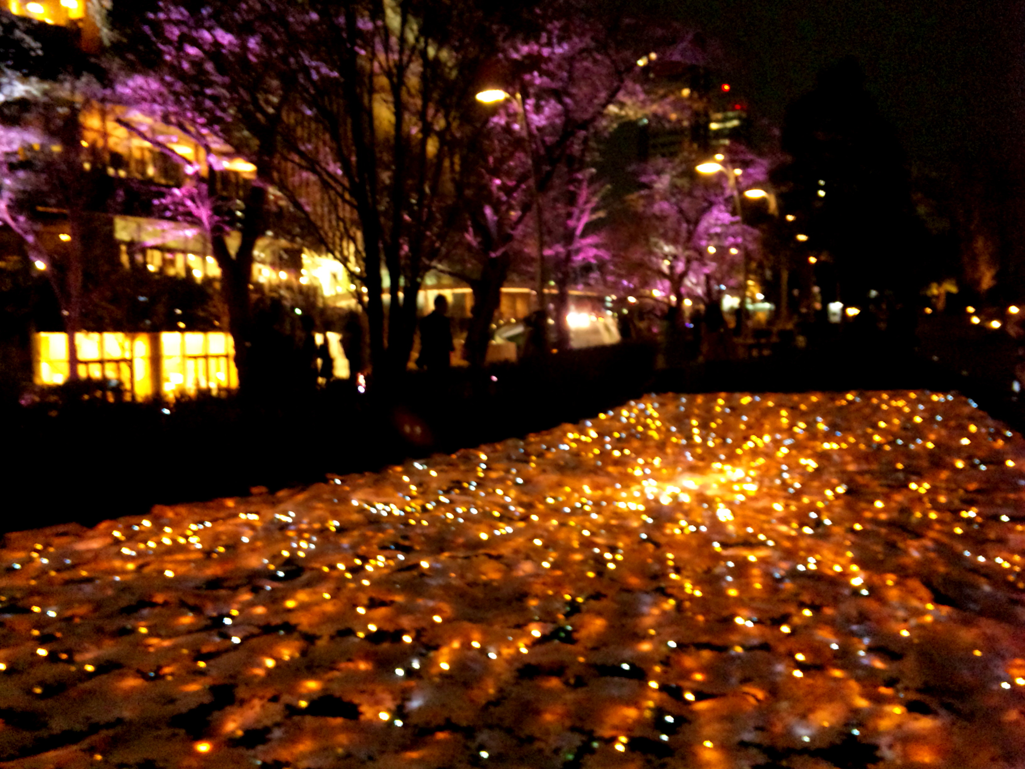 春さんぽ 夜桜というより桜イルミ 幻想的なミッドタウン ヒルズ 赤坂 東京 の旅行記 ブログ By Motoさん フォートラベル