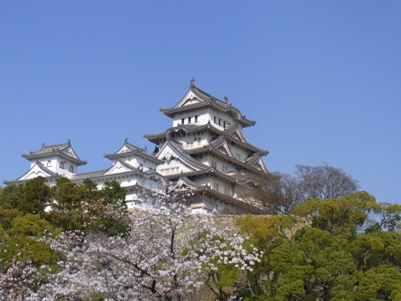 10 04姫路 日帰り キティカフェ 姫路城の桜 姫路 兵庫県 の旅行記 ブログ By Emily121さん フォートラベル