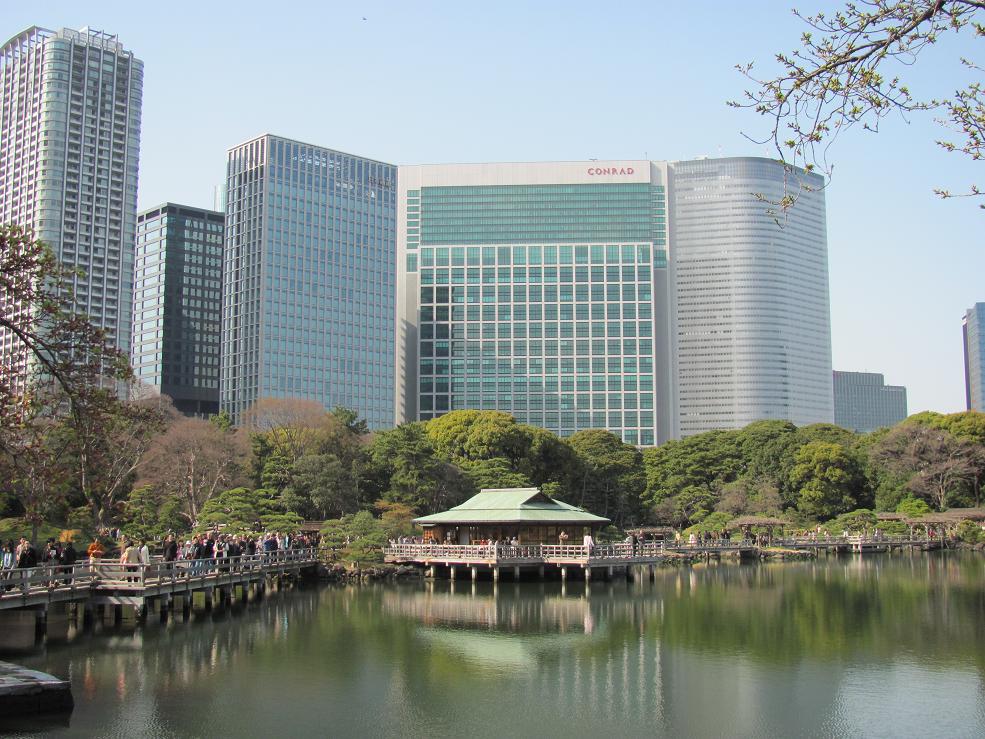 おまけ写真付 本日は絶好のお花見日和 浜離宮庭園 サクラと菜の花畑 汐留 東京 の旅行記 ブログ By ピコさん フォートラベル