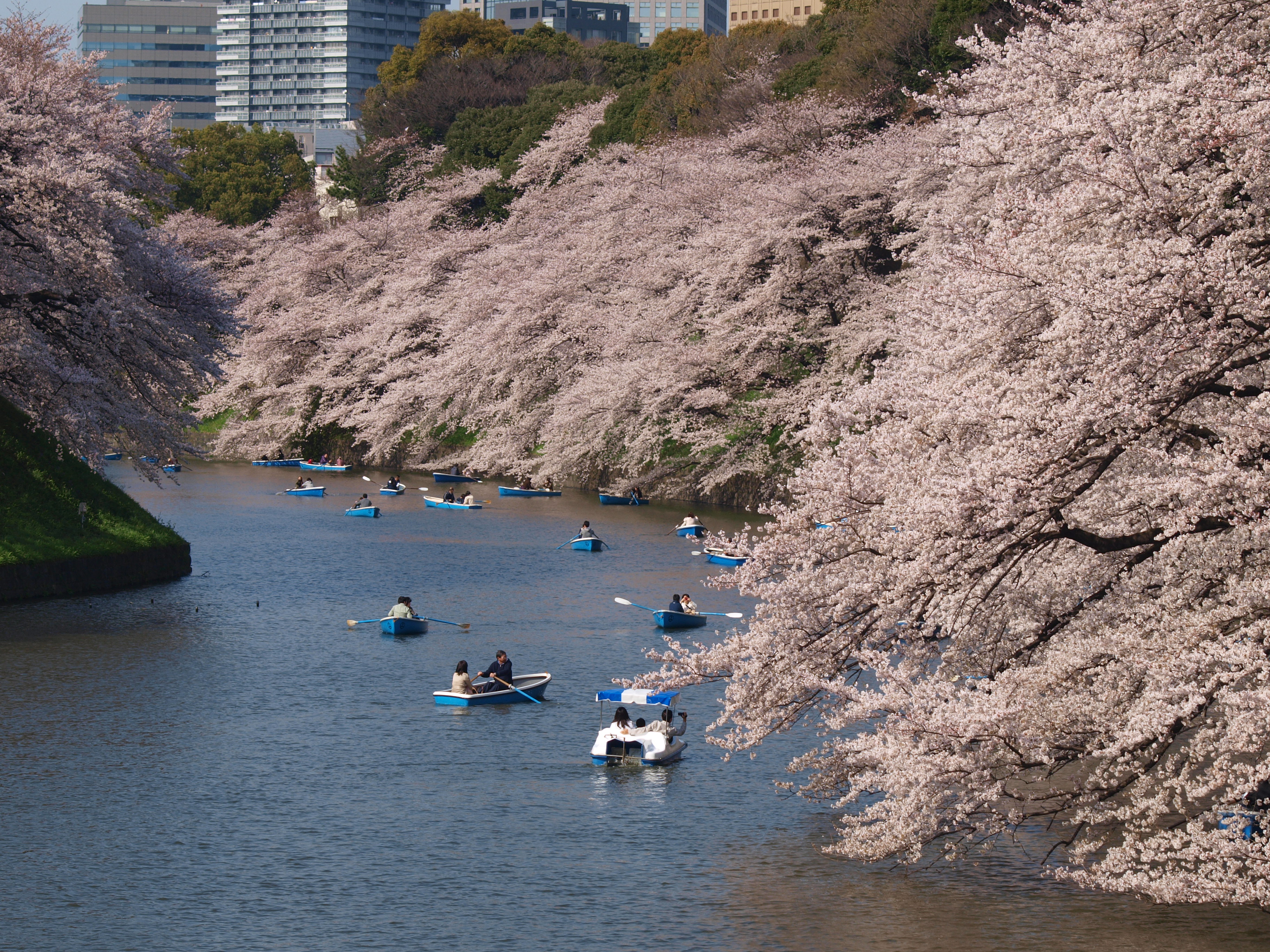 桜満開 中目黒 半蔵門 千鳥ヶ淵 上野 上野 御徒町 東京 の旅行記 ブログ By 大王さん フォートラベル 桜満開 中目黒 半蔵門 千鳥ヶ淵 上野 上野 御徒町 東京 の旅行記 ブログ By 大王さん フォートラベル
