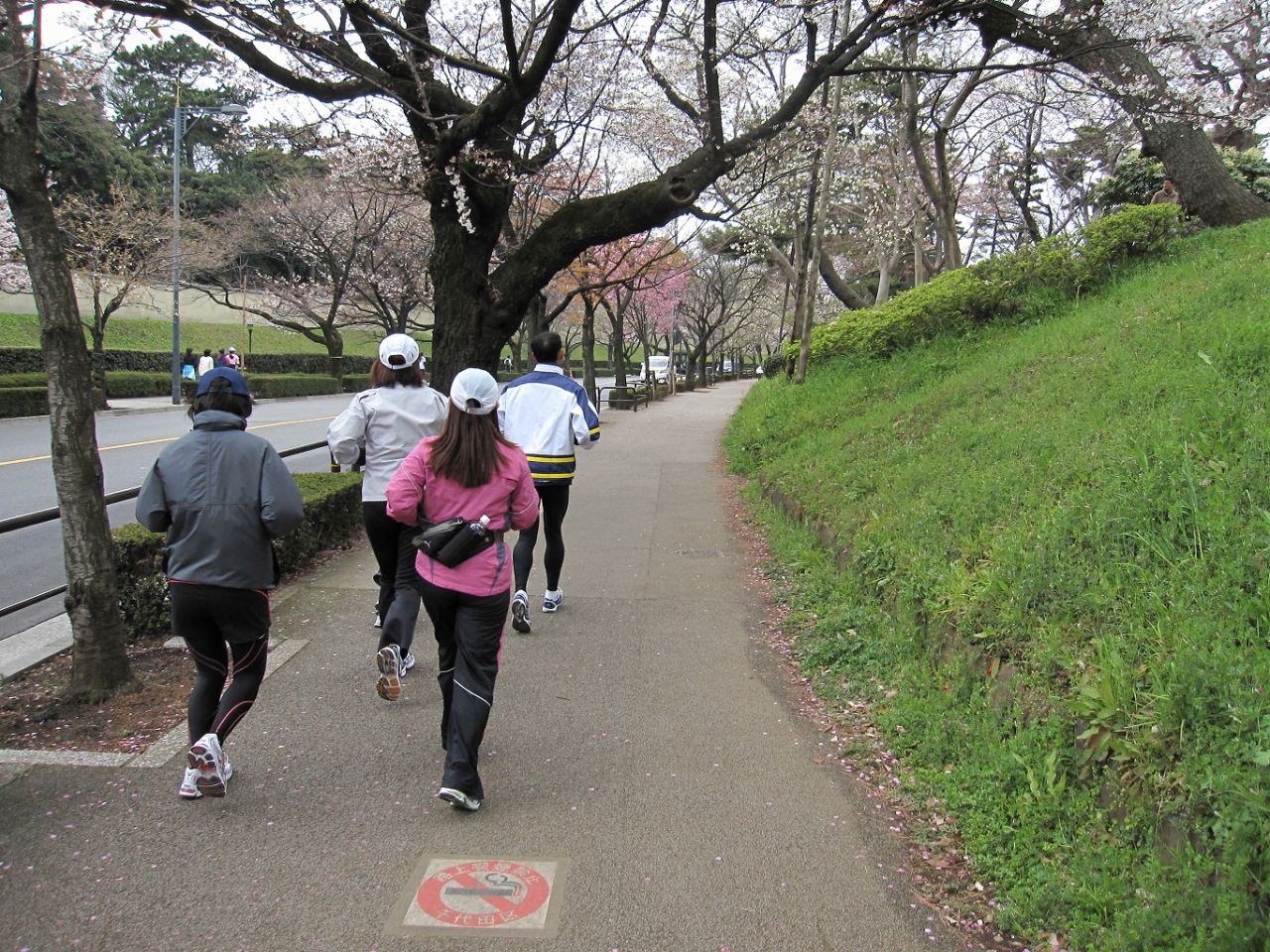 皇居 お花見ランニング 丸の内 大手町 八重洲 東京 の旅行記 ブログ By どーもくんさん フォートラベル