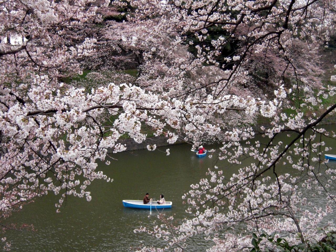 九段下から千鳥ヶ淵 ちょっと立ち寄り 神田 神保町 東京 の旅行記 ブログ By どーもくんさん フォートラベル 九段下から千鳥ヶ淵 ちょっと立ち寄り 神田 神保町 東京 の旅行記 ブログ By どーもくんさん フォートラベル