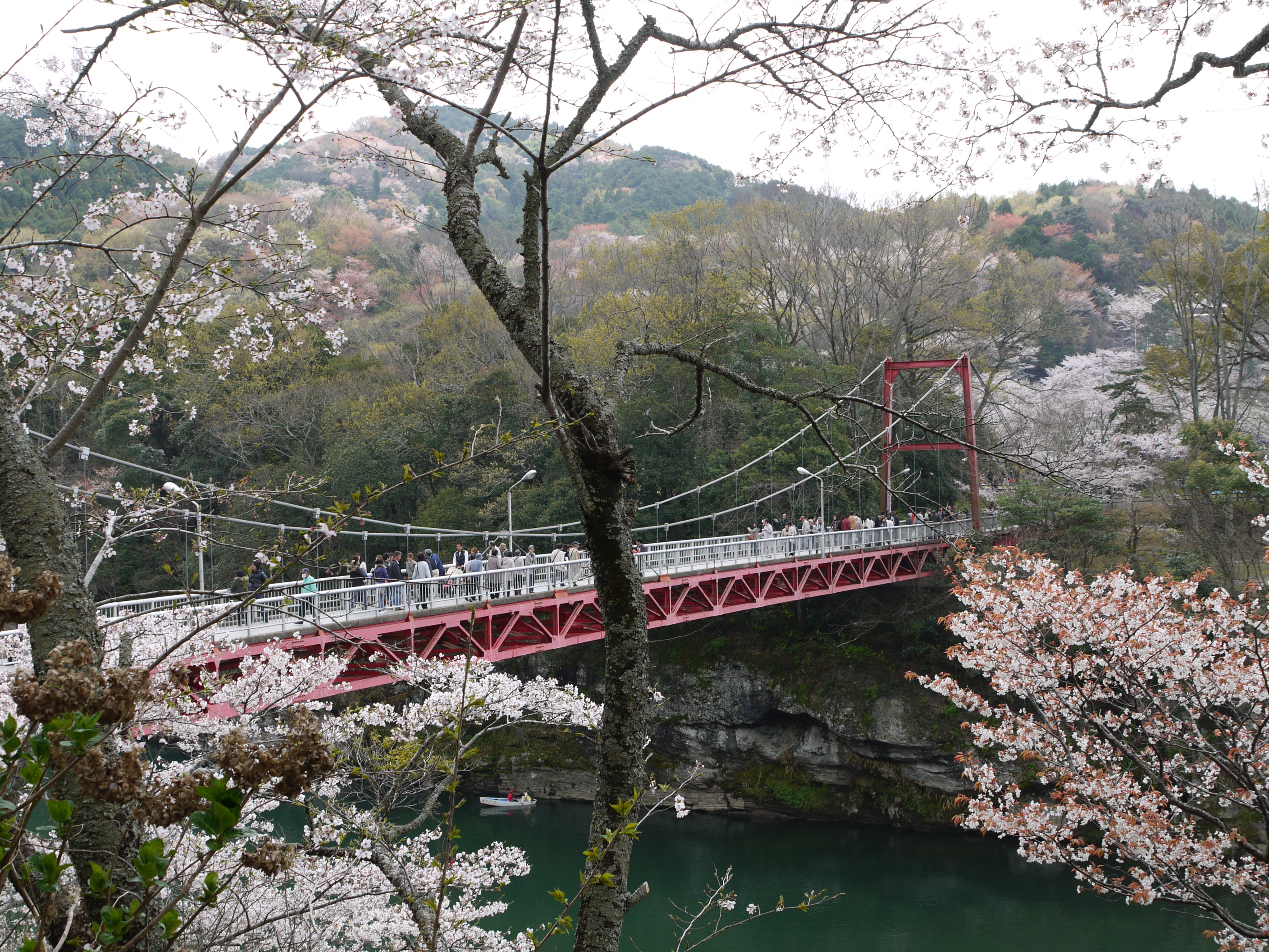 10年 新城桜淵公園のさくら 新城 愛知県 の旅行記 ブログ By Tanakaさん フォートラベル