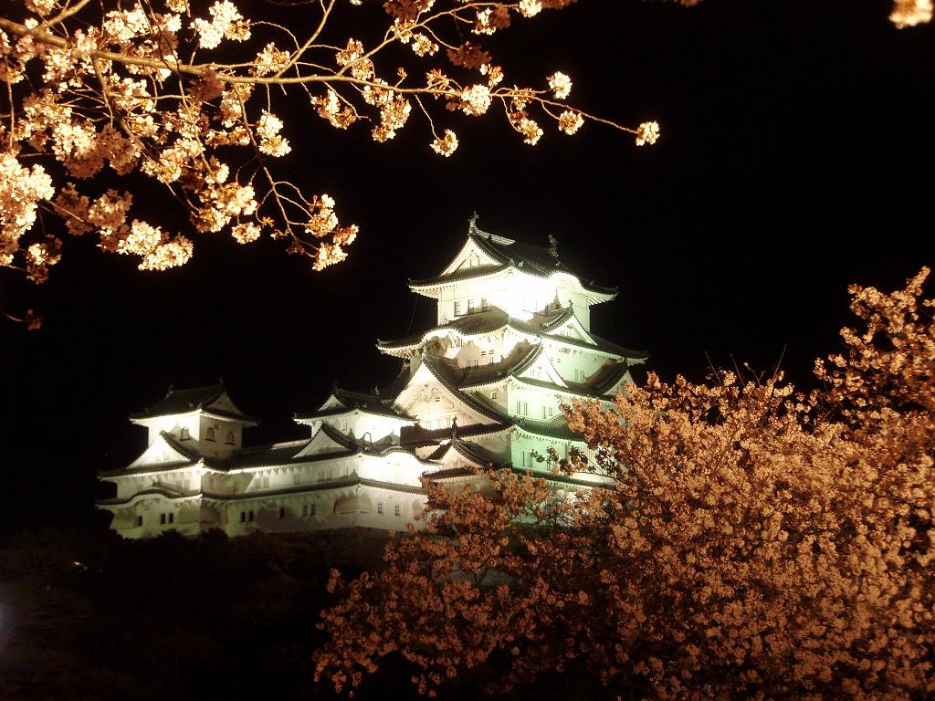 花と光の回廊 花あかり 姫路城夜桜会 姫路 兵庫県 の旅行記 ブログ By Gotochanさん フォートラベル