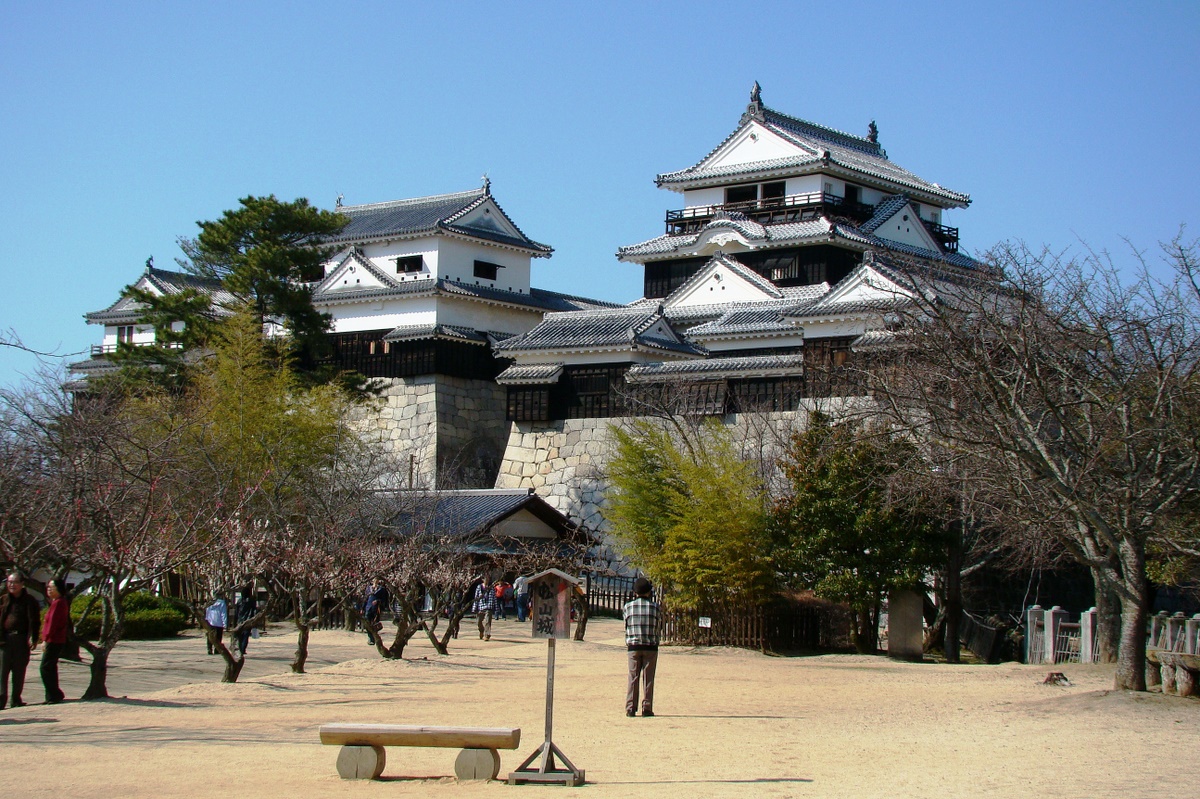 菜花咲く伊予へ(4) 四国最大の名城、松山城 ～2010年2月～』松山(愛媛 