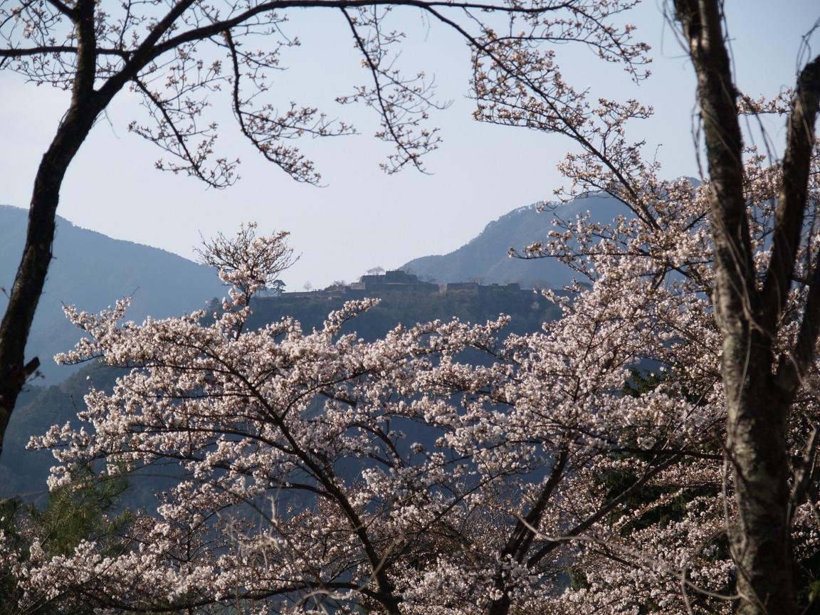 天空の城 竹田城の春 和田山 兵庫県 の旅行記 ブログ By Gotochanさん フォートラベル 天空の城 竹田城の春 和田山 兵庫県 の旅行記 ブログ By Gotochanさん フォートラベル