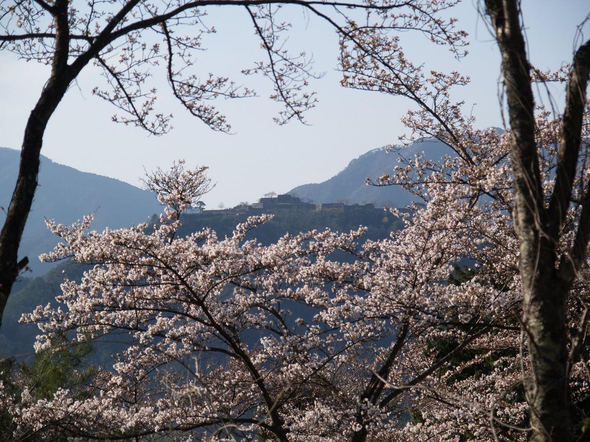 天空の城 竹田城の春 和田山 兵庫県 の旅行記 ブログ By Gotochanさん フォートラベル