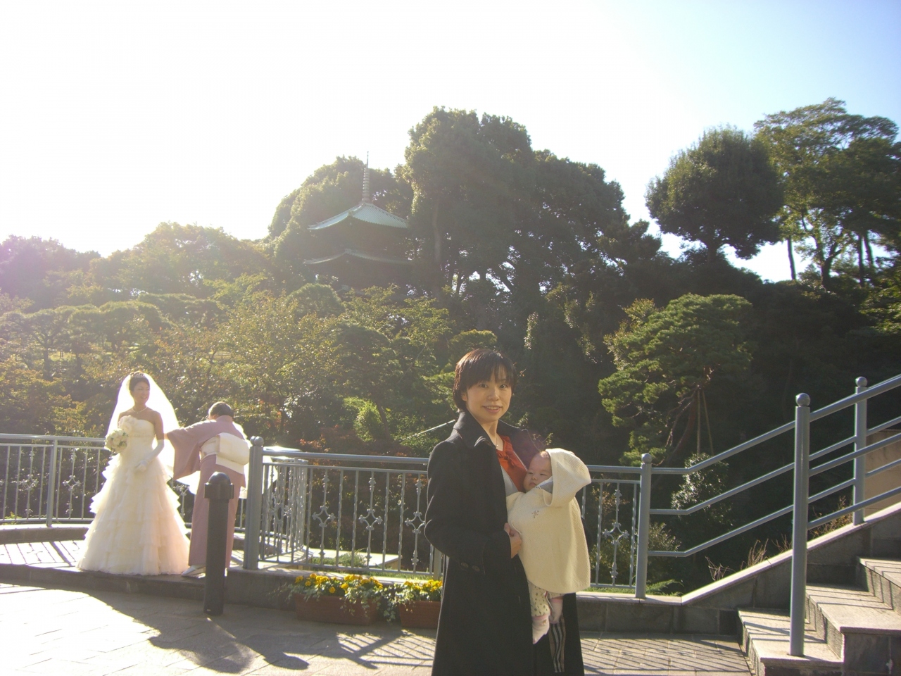 椿山荘のカメリアでバースデー 目白 東京 の旅行記 ブログ By しょこくまさん フォートラベル