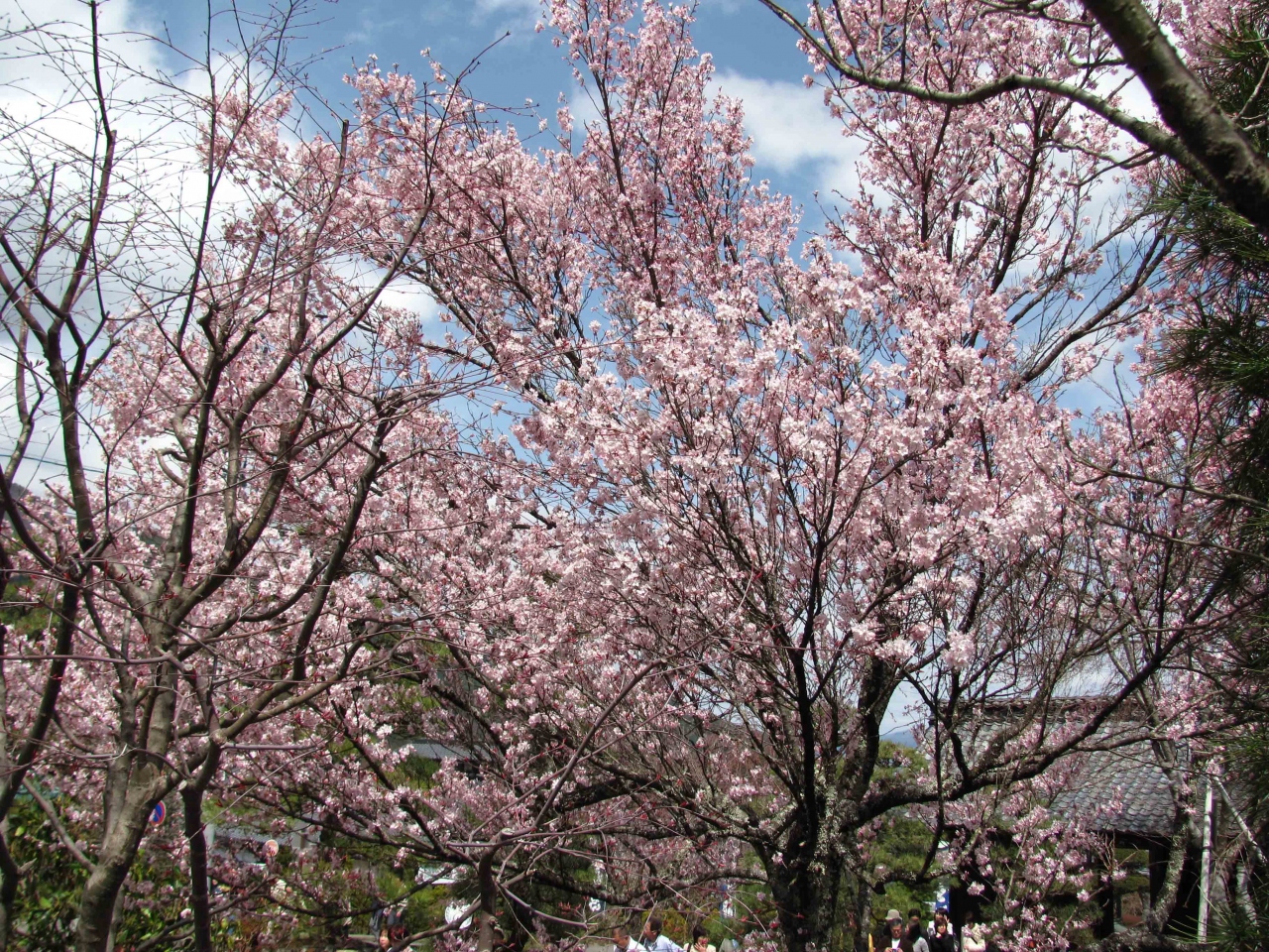 日帰りバスツアー 長野県 光前寺 駒ヶ根 長野県 の旅行記 ブログ By みふぃまるさん フォートラベル 日帰りバスツアー 長野県 光前寺 駒ヶ根 長野県 の旅行記 ブログ By みふぃまるさん フォートラベル