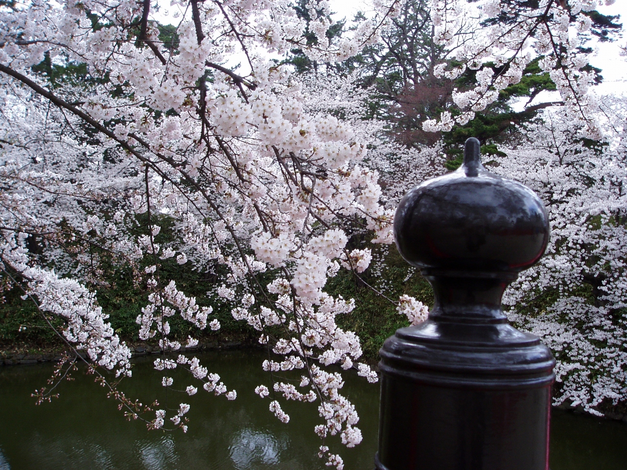 北海道 秋田県 宮城県 弘前 青森県 の旅行記 ブログ By きんちゃくだいさん フォートラベル 北海道 秋田県 宮城県 弘前 青森県 の旅行記 ブログ By きんちゃくだいさん フォートラベル