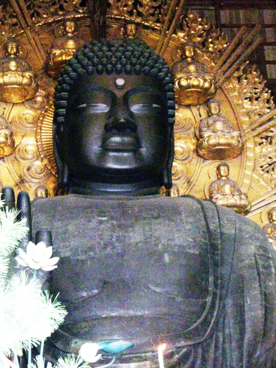 奈良 4 東大寺盧舎那仏像を仰ぎ拝観 慈悲の力を伝えて 奈良市 奈良県 の旅行記 ブログ By マキタン2さん フォートラベル 奈良 4 東大寺盧舎那仏像を仰ぎ拝観 慈悲の力を伝えて 奈良市 奈良県 の旅行記 ブログ By マキタン2さん フォートラベル