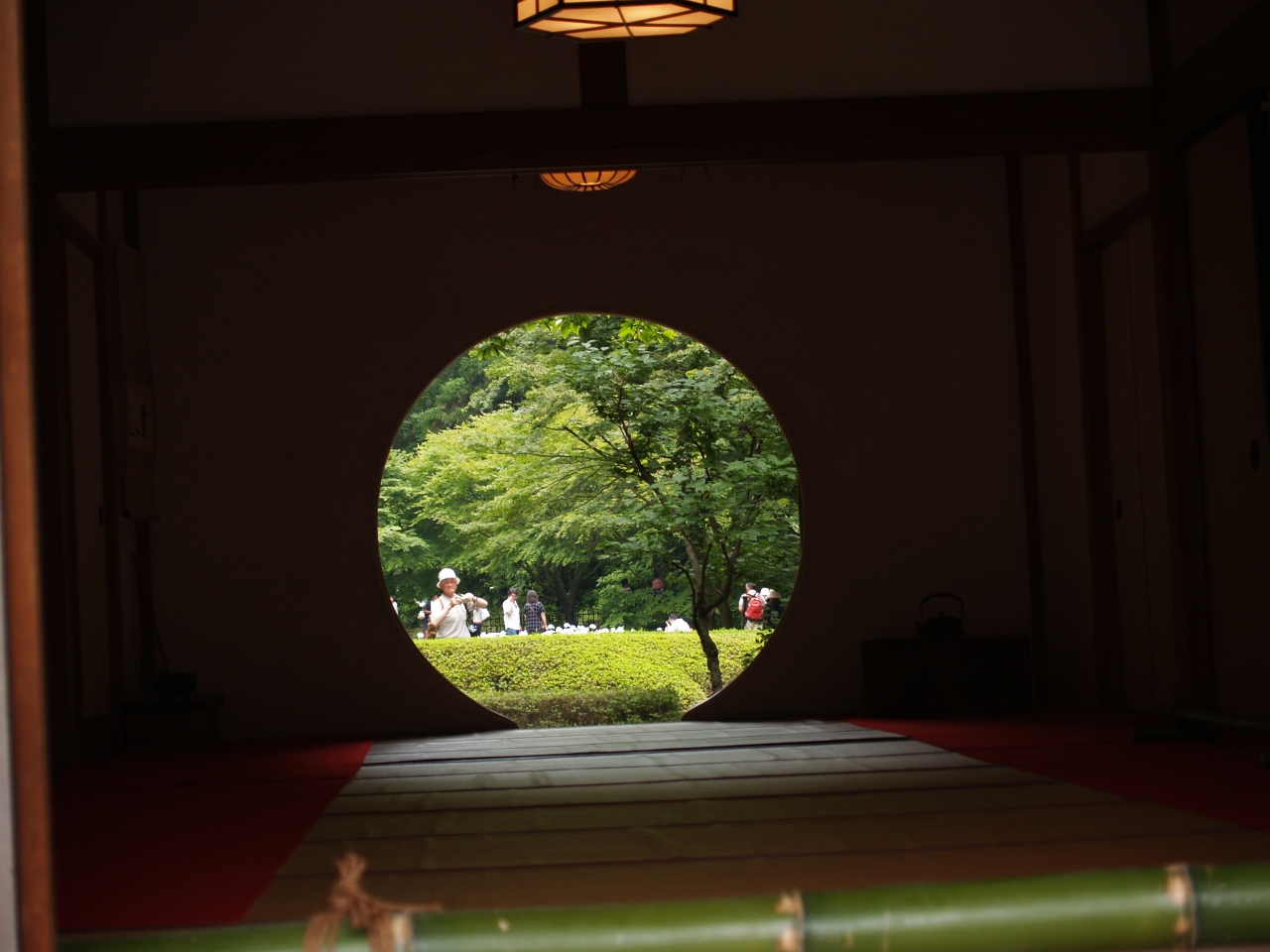 鎌倉明月院の花菖蒲 鎌倉 神奈川県 の旅行記 ブログ By ドクターキムルさん フォートラベル