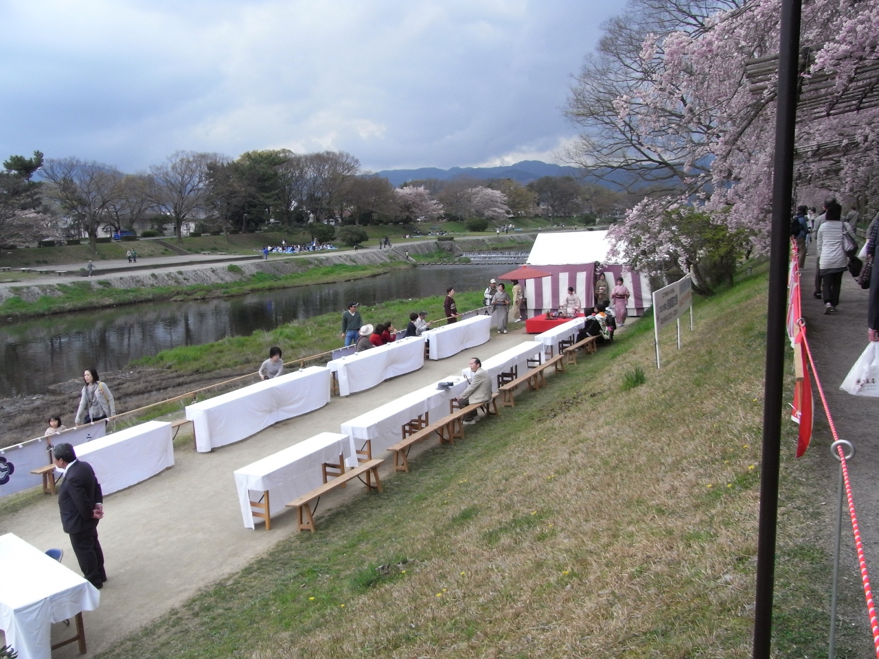 花見もそこそこに北山 北大路の食日記 下鴨 宝ヶ池 平安神宮 京都 の旅行記 ブログ By Molmさん フォートラベル 花見もそこそこに北山 北大路の食日記 下鴨 宝ヶ池 平安神宮 京都 の旅行記 ブログ By Molmさん フォートラベル