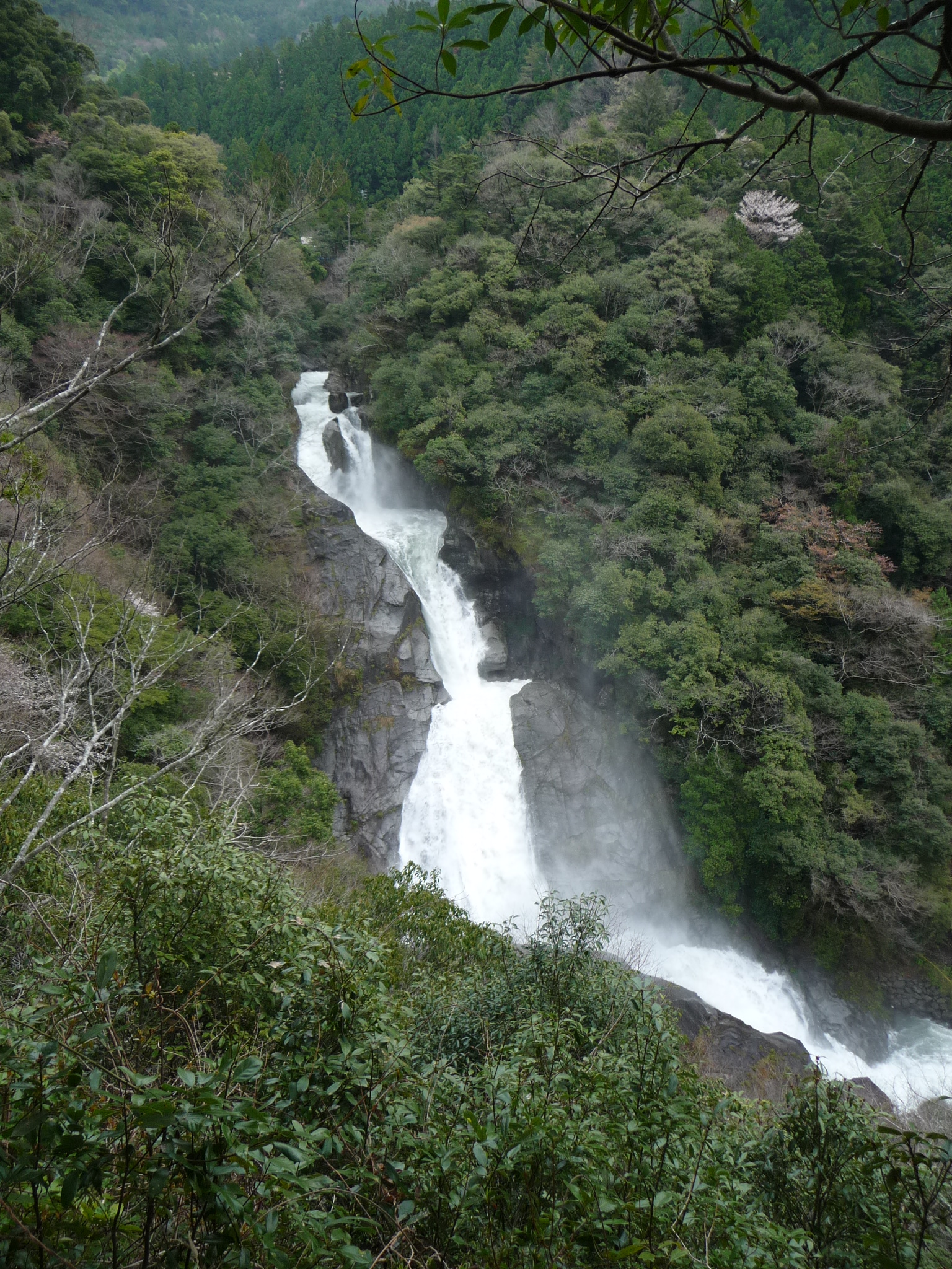 豪瀑と化していた日本の滝百選 轟の滝 10春 高知県の滝めぐり その２ 南国 土佐山田 香南 高知県 の旅行記 ブログ By Joecoolさん フォートラベル
