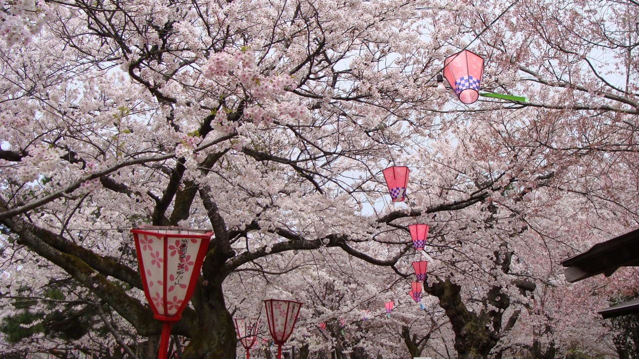 高岡古城公園の花見 上編 高岡 富山県 の旅行記 ブログ By Hn11さん フォートラベル