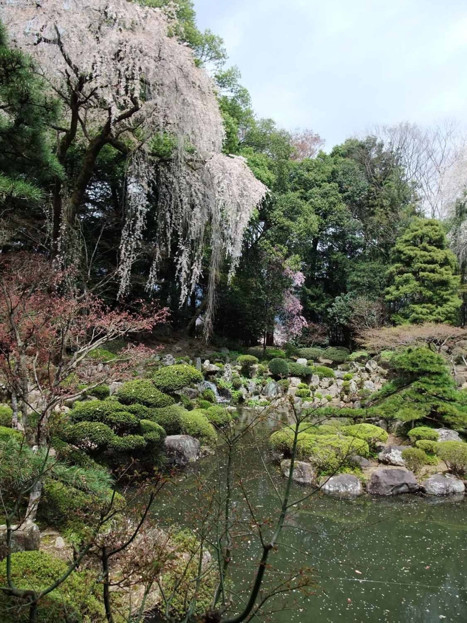 山梨観光 恵林寺の桜 勝沼 塩山 山梨県 の旅行記 ブログ By おんさん フォートラベル