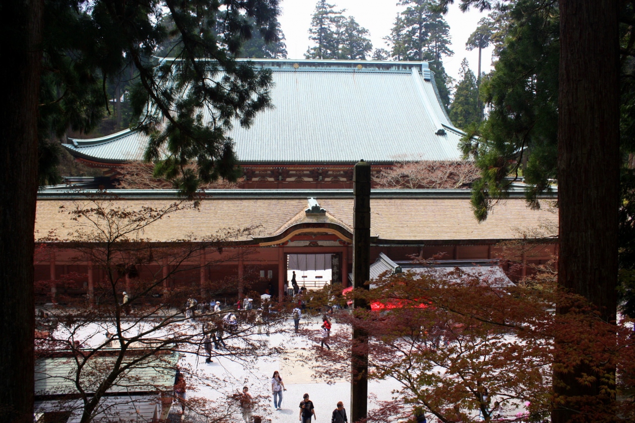 春の比叡山へ 延暦寺諸堂めぐりと桜祭り 萌桜会 大津 滋賀県 の旅行記 ブログ By ぺこにゃんさん フォートラベル