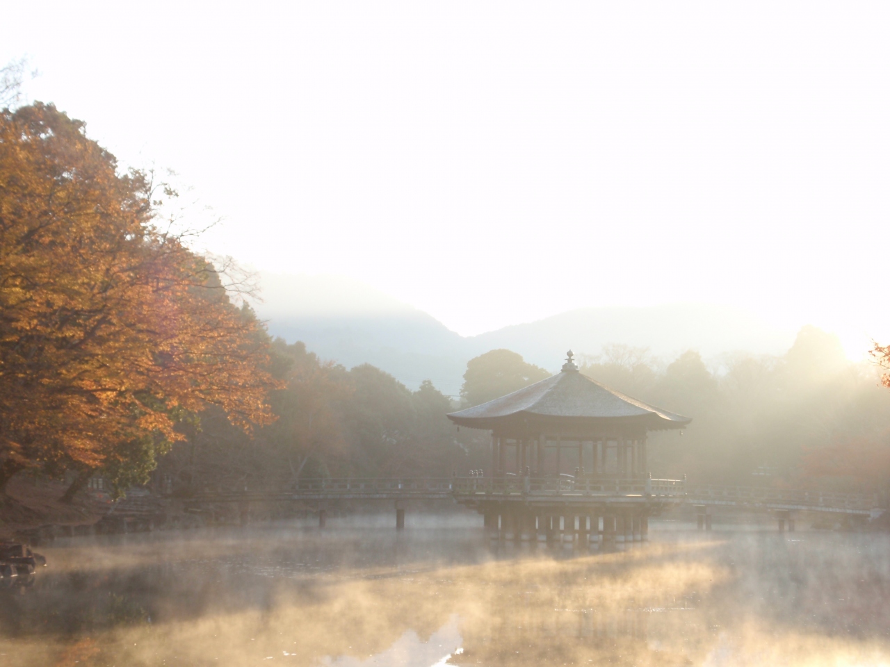 早朝の奈良公園 浮見堂 奈良紅葉めぐり６ 一人旅 奈良市 奈良県 の旅行記 ブログ By 始椿さん フォートラベル