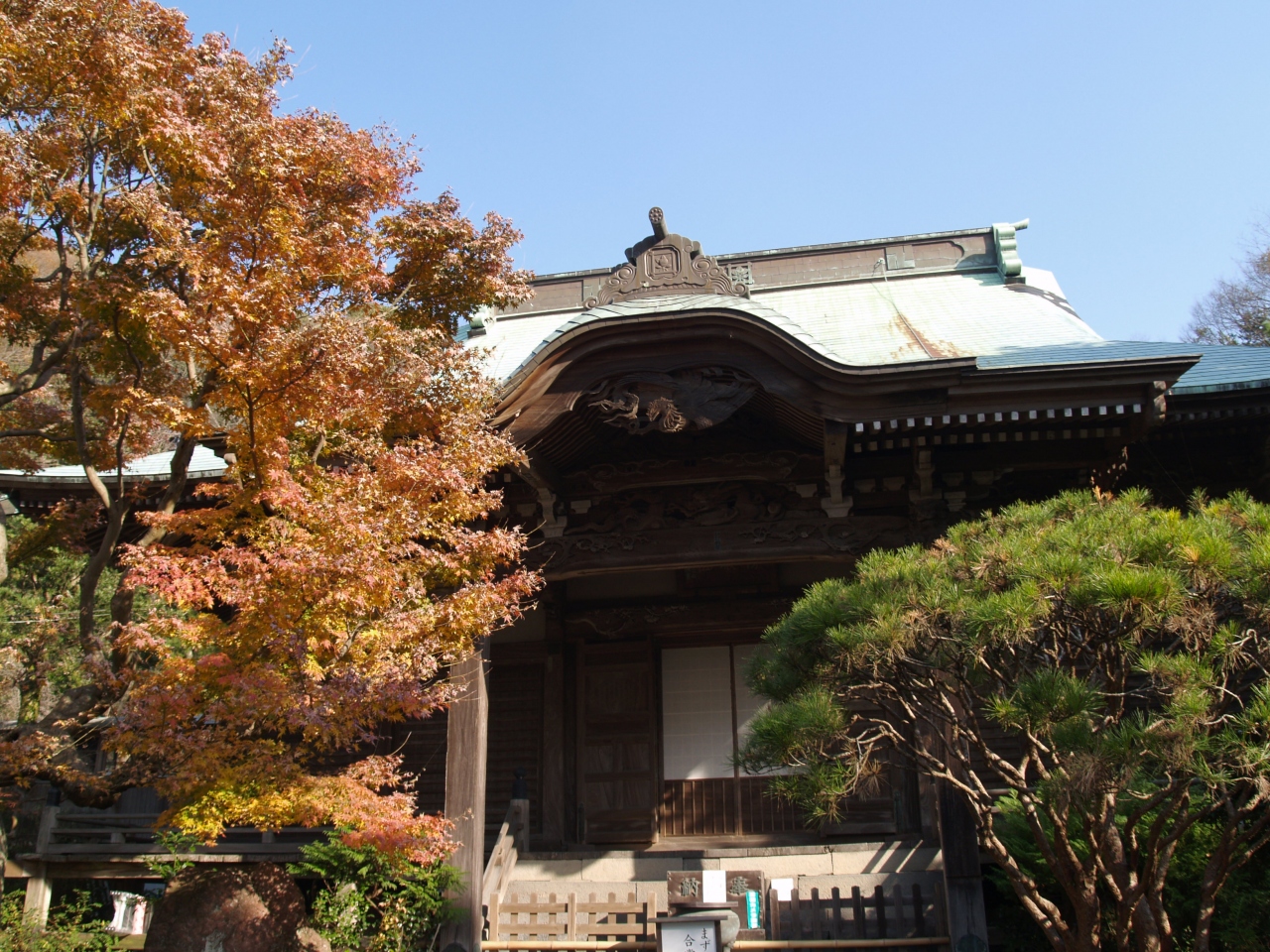 鎌倉妙法寺 08年紅葉の頃 鎌倉 神奈川県 の旅行記 ブログ By ドクターキムルさん フォートラベル