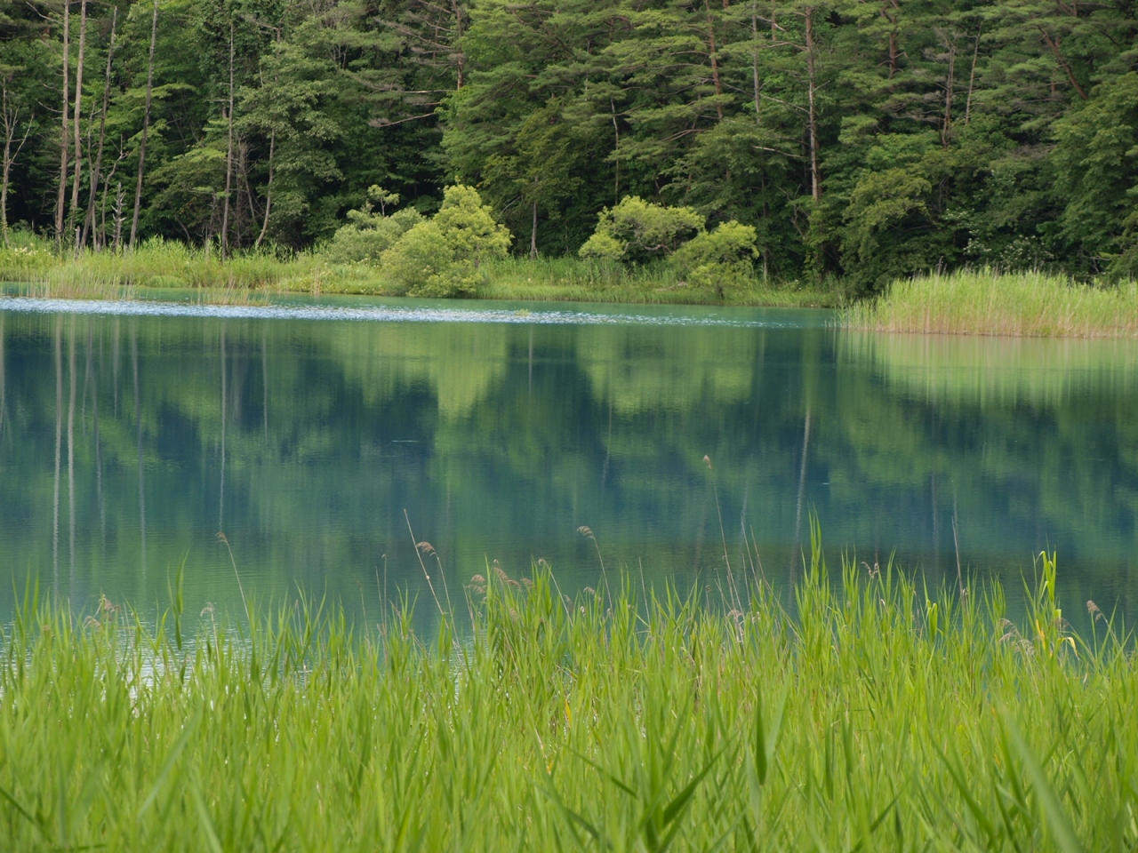 裏磐梯五色沼と 霧に包まれた秘湯の宿 福島県の旅行記 ブログ By まりあさん フォートラベル 裏磐梯五色沼と 霧に包まれた秘湯の宿 福島県の旅行記 ブログ By まりあさん フォートラベル