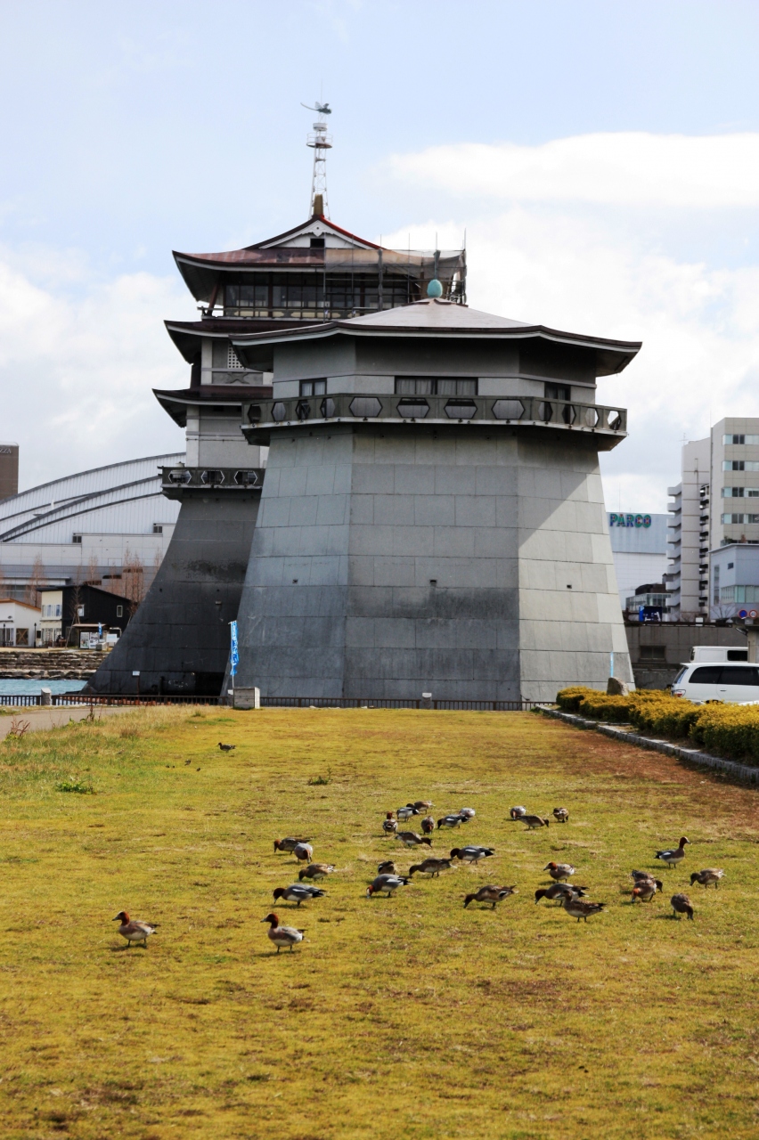 なぎさ公園で見つけた面白い建物 県立琵琶湖文化館 大津 滋賀県 の旅行記 ブログ By みにくまさん フォートラベル なぎさ公園で見つけた面白い建物 県立琵琶湖文化館 大津 滋賀県 の旅行記 ブログ By みにくまさん フォートラベル