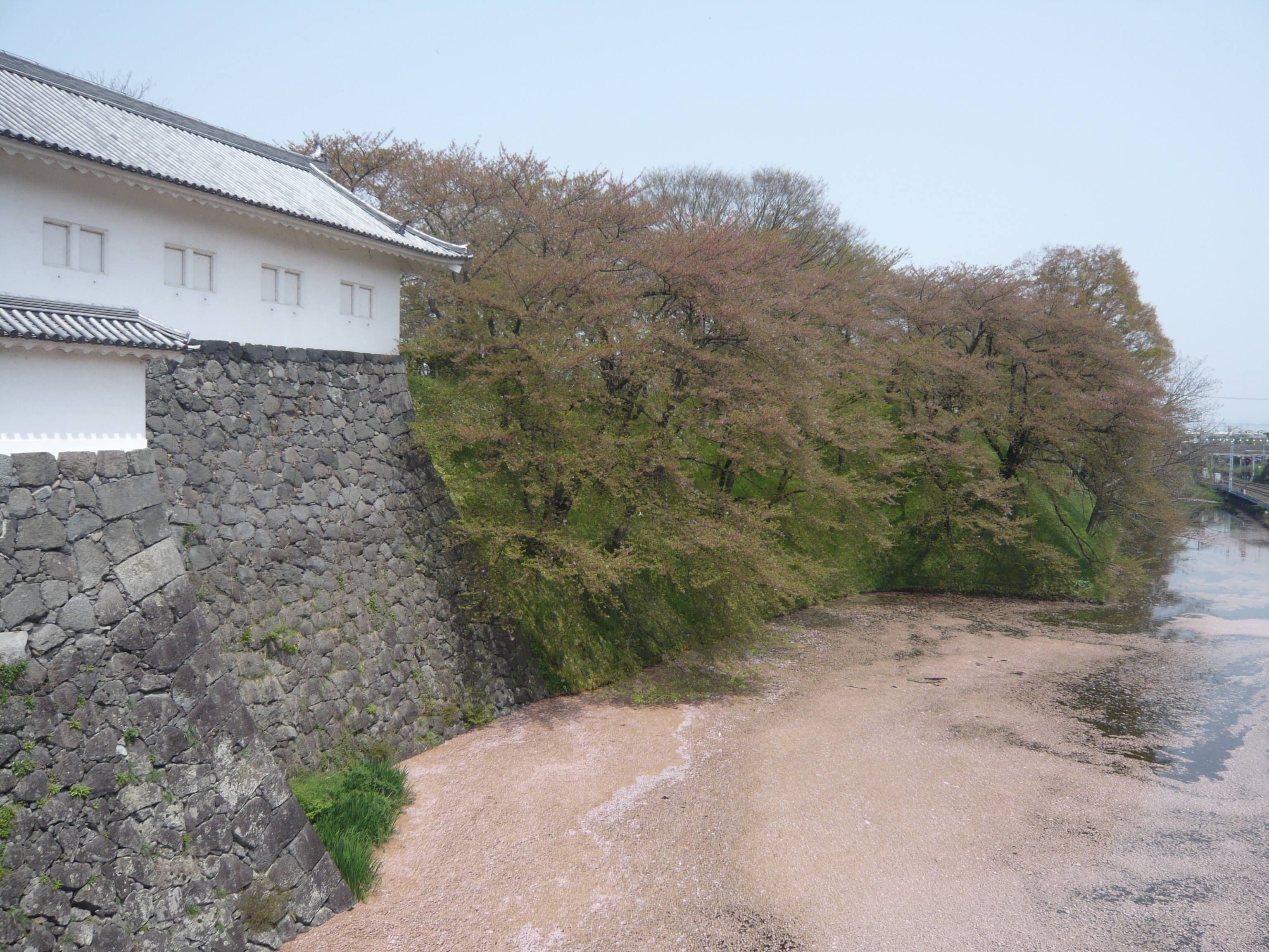 東北城巡り 野宿一人旅 山形県 山形城 ２０１０ ５ ５ 山形市 山形県 の旅行記 ブログ By かおさん フォートラベル