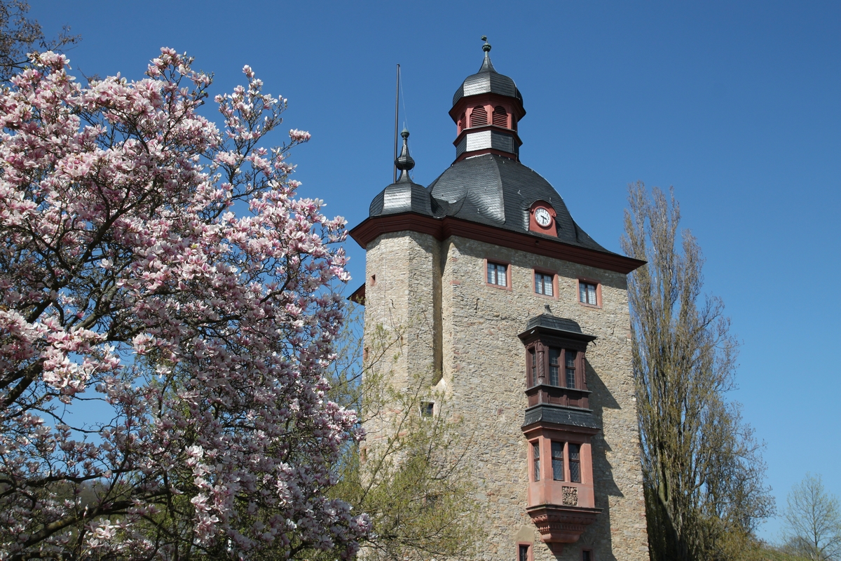 春一杯 ドイツが最も美しい時 ヘッセン州 ドイツ の旅行記 ブログ By ココアさん フォートラベル