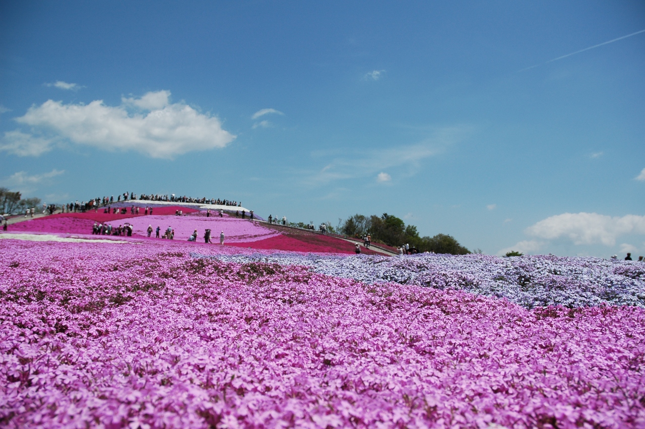 天空の花回廊 愛知県の旅行記 ブログ By キクリンさん フォートラベル 天空の花回廊 愛知県の旅行記 ブログ By キクリンさん フォートラベル