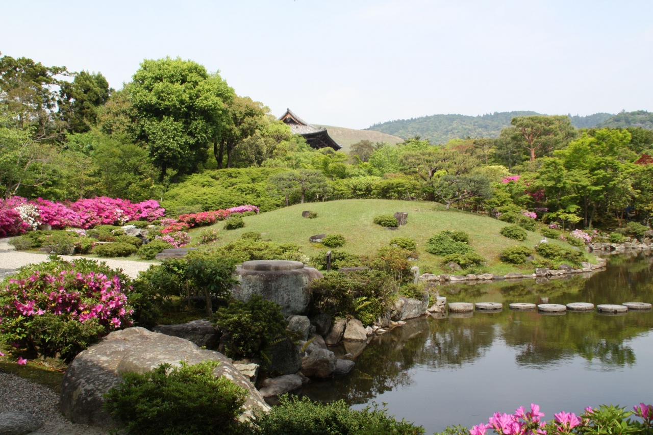 奈良市内唯一の池泉回遊式庭園 依水園 と隣接する 吉城園 を訪ねました 奈良市 奈良県 の旅行記 ブログ By 花好京人さん フォートラベル