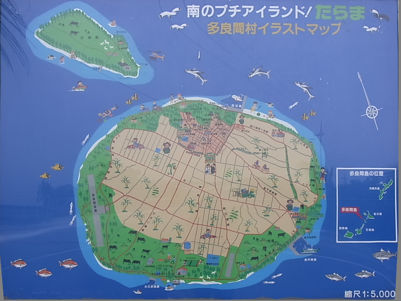 島旅 多良間島編 島一周 磯遊び 多良間島 水納島 沖縄県 の旅行記 ブログ By つきこさん フォートラベル