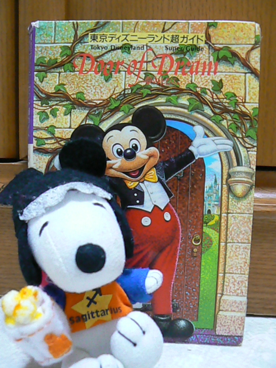 小説の舞台へ 東京ディズニーランド 東京ディズニーリゾート 千葉県 の旅行記 ブログ By べるつくさん フォートラベル