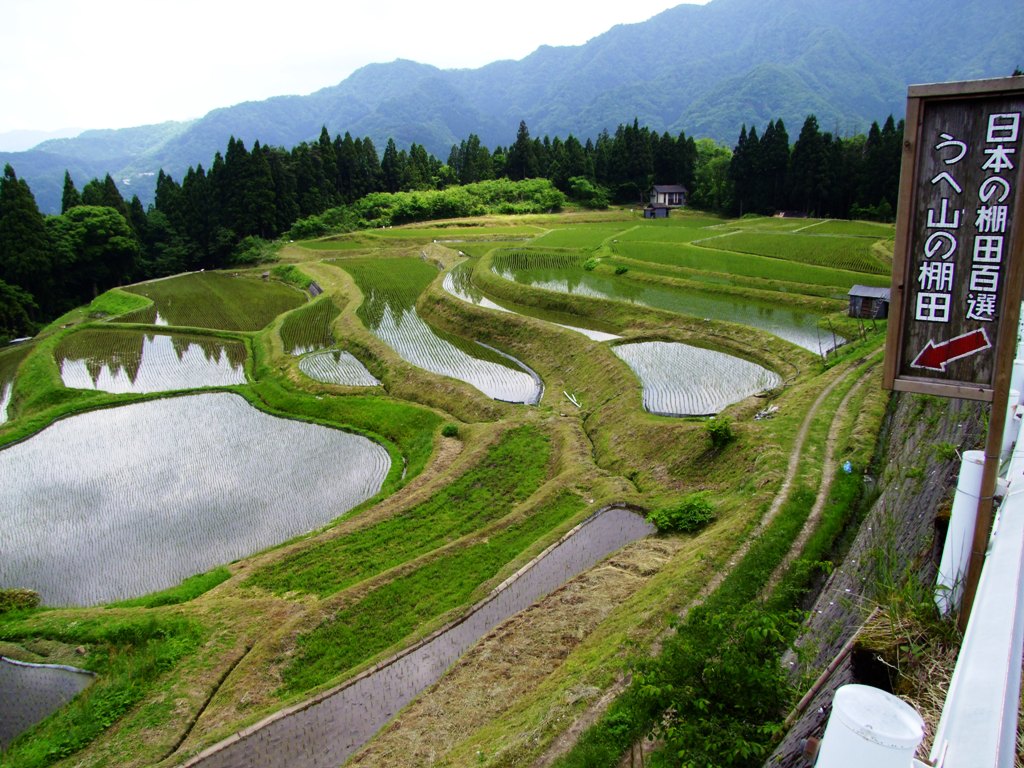 うへ山の棚田 香住 余部 兵庫県 の旅行記 ブログ By Rilakkumaさん フォートラベル うへ山の棚田 香住 余部 兵庫県 の旅行記 ブログ By Rilakkumaさん フォートラベル