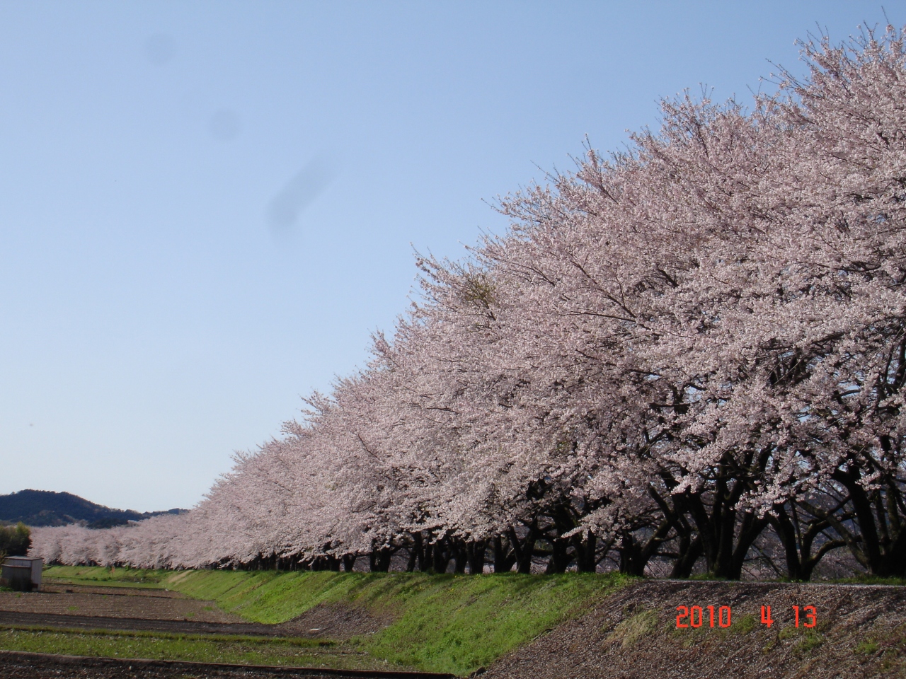 10 04 13 15桜追っかけ その1 太平山 宮部 栃木県の旅行記 ブログ By Taekomikeさん フォートラベル 10 04 13 15桜追っかけ その1 太平山 宮部 栃木県の旅行記 ブログ By Taekomikeさん フォートラベル