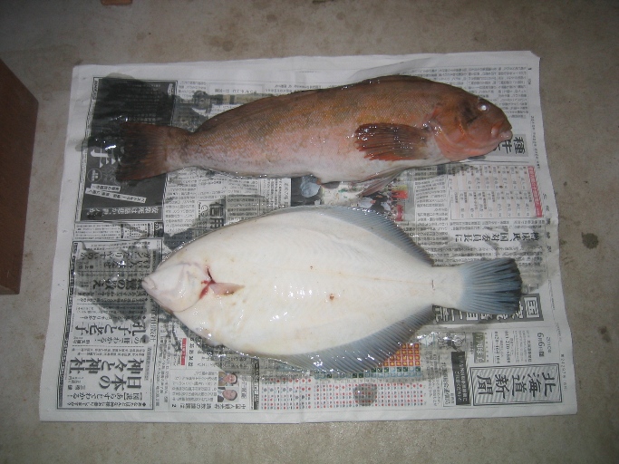 道南釣りの旅 10 知内でマコカレイ狙い 函館 北海道 の旅行記 ブログ By ハリバット健さん フォートラベル