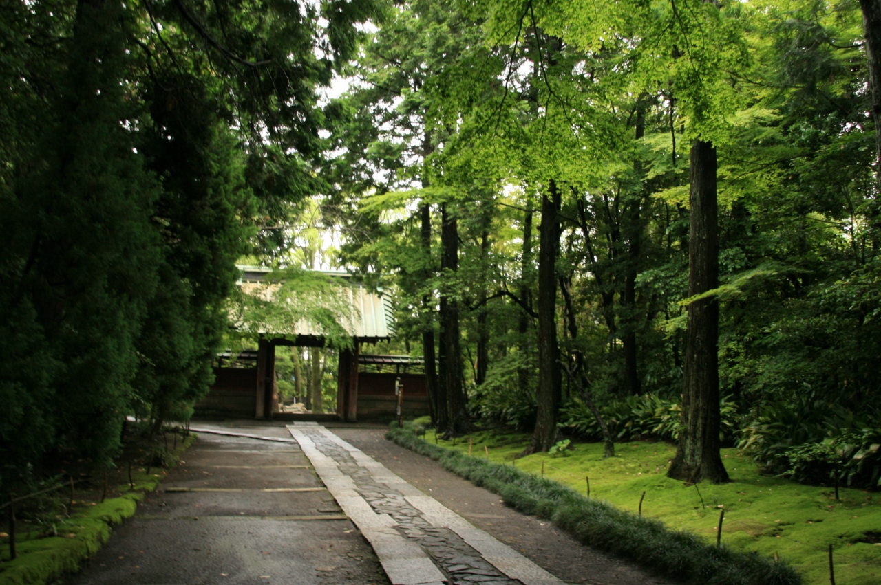 Tirp In 鎌倉 千葉 鎌倉散策とびわ狩りバスツアー 千葉県の旅行記 ブログ By ハッチさん フォートラベル